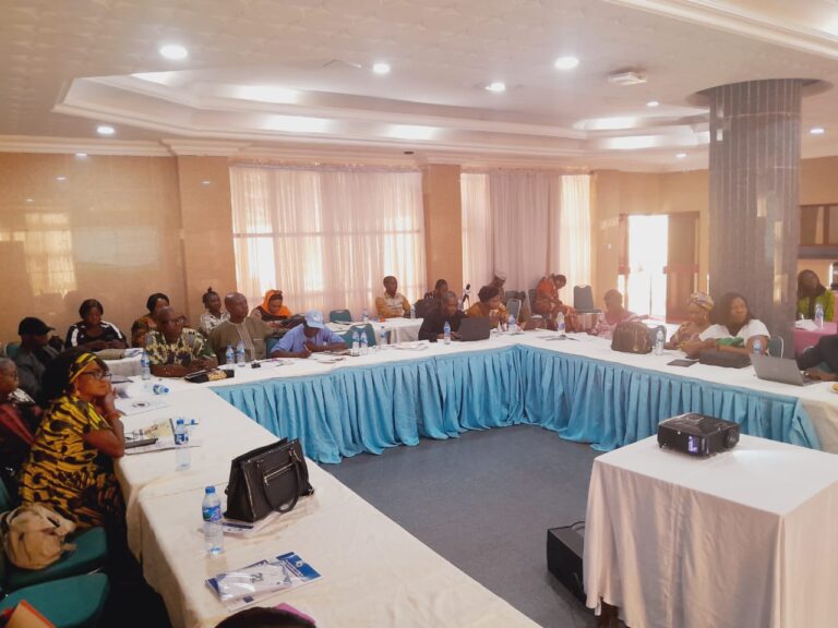 Improve health outcomes- ANHEJ tells Nigerian govt