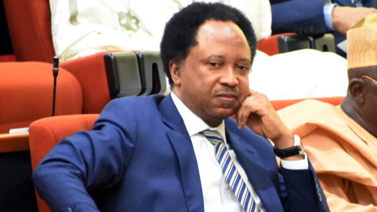 Your school certificate sufficient for public office, stop faking degrees Shehu Sani to politicians