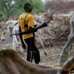 Benue: Armed herdsmen open fire on security operatives who responded to distress call from villagers