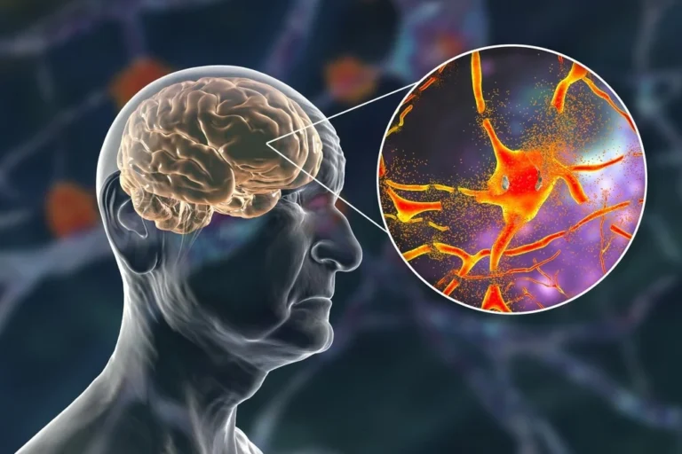 Nap Your Way to a Smarter Brain: Researchers Say Short Sleep Boosts Learning Power