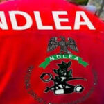 NDLEA intercepts N3bn worth of heroin at Abuja airport, arrests Brazilian national