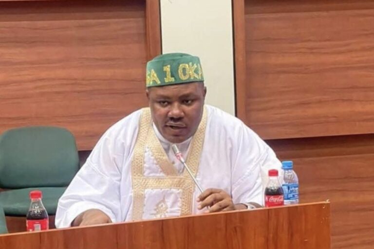 Blaming Wike for FCT flood like Israelites blaming Moses- Reps Agbese