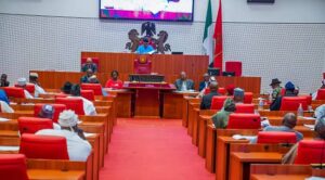 Senate moves to develop measures for economic stability, financial inclusion
