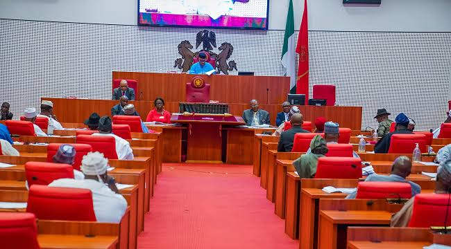 Senate moves to develop measures for economic stability, financial inclusion