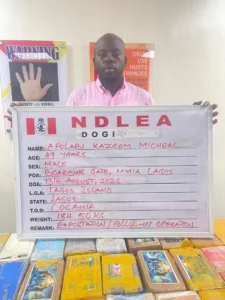 NDLEA nabs drug kingpin, Afolabi Kazeem Michael, trying to escape to Paris